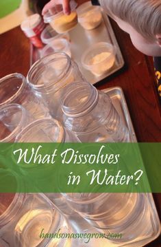 a young boy is looking at what dissolves in water on a tray with plastic cups