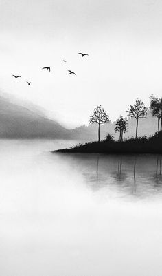 a black and white photo of birds flying over the water on a foggy day