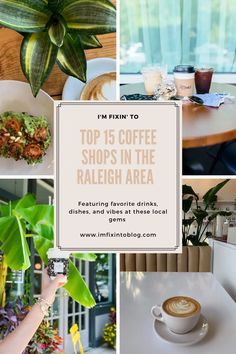 the top 15 coffee shops in the raaleigh area, with pictures of plants and other things to eat