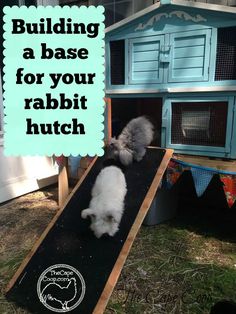 a rabbit in a house with the words building a base for your rabbit hutt