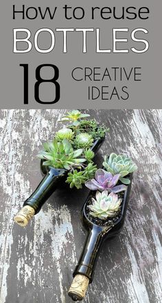 two bottles filled with plants sitting on top of a wooden table next to the words how to reuse bottles creative ideas