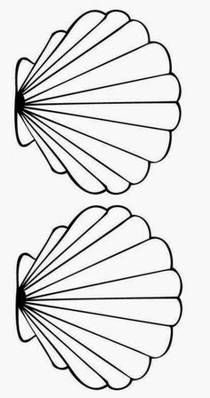 two scallop shells are shown in black and white