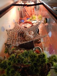 a glass table topped with lots of different types of food and plants on top of it