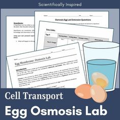 the cell transport egg osmosis lab is shown in this graphic above it's image