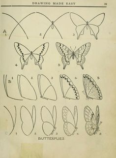 an old book with butterflies drawn on it's sides and the words drawing made easy