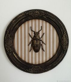 a beetle is mounted on the wall in an ornate oval frame with stripes behind it