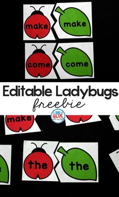 editable ladybugs worksheets for the classroom