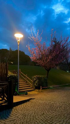 a street light sitting on the side of a road next to a tree with pink flowers