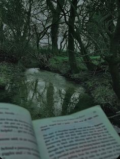 an open book sitting on top of a lush green forest