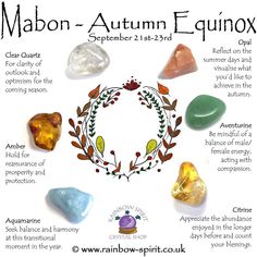 Autumn Equinox Mabon Crystal Set | Etsy Crystal Healing Stones, Davao, Witchy Vibes, Crystal Set, Samhain, Crystal Shop, Book Of Shadows, Crystals And Gemstones