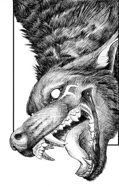 a drawing of a wolf with its mouth open