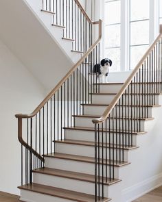 there is a dog that is sitting on the stair railing next to the stairs in this house