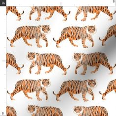 an orange tiger pattern on a white background