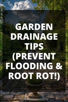 the words garden drainage tips prevent flooding and root rott on top of a stone walkway