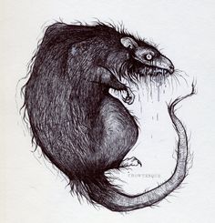 a drawing of a rat sitting on its hind legs