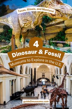 dinosaur displays in Chicago and Texas Dinosaurs Names And Pictures, Glendive Montana, Things To Do In Montana, Dinosaurs For Kids, Dinosaur Names, Lufkin Texas, Fossil Museum, Chicago Things To Do