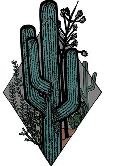 a drawing of a cactus and other plants