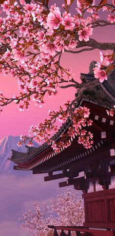 Download Free Cherry Blossom Wallpaper. Discover more Aesthetic, Beautiful, Cherry Blossom, Floral, Flower wallpaper. Back Ground, Blossom