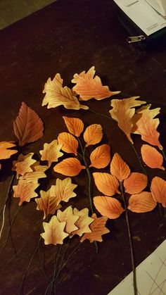 some yellow and orange leaves on a table