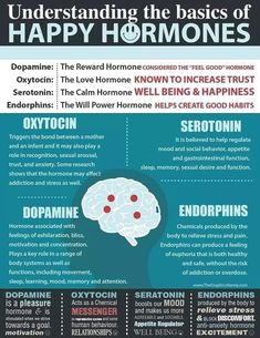 Brain Facts, Happy Coffee, Hormone Health, Health Info, Brain Health, What’s Going On