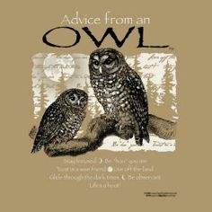 two owls sitting next to each other on top of a tree branch with the words advice from an owl