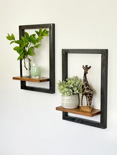 two wooden shelves with plants and giraffe figurines on them against a white wall