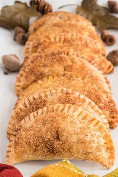 several different types of pies on a white plate with pine cones and leaves around them