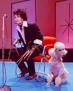 a man sitting in a red chair next to a white poodle on top of a blue carpet