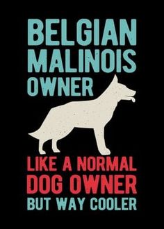 a black and white poster with a dog on it's back, says belgian malnois owner like a normal dog owner but way cooler