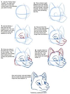 how to draw an angry cat with different facial expressions and head shapes, step by step