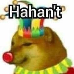 a dog wearing a clown hat with the words hahant on it's forehead