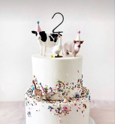 a white cake with sprinkles and two cats on top