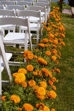 A row of bright orange marigolds lining the aisle of a beautiful coastal wedding. Marigolds Wedding Decoration, Wedding Arch Orange Flowers, Green Yellow Orange Wedding, Marigold Centerpiece Wedding, Mums Wedding Aisle, Marigold Bouquet Wedding, Marigold Wedding Bouquet, Orange Flower Wedding