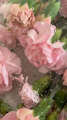 pink flowers are sitting in the rain outside