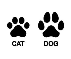 cat and dog paw prints on white background