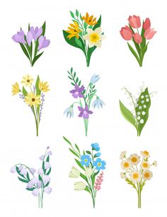 six different types of flowers on a white background