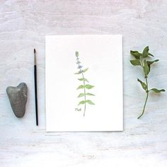 a piece of paper sitting on top of a table next to a rock and plant