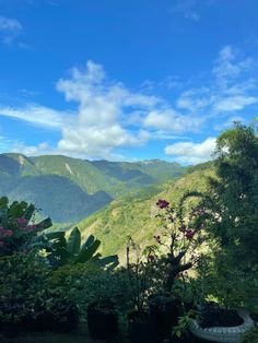 the mountains are covered in lush vegetation and flowers, as well as some plants with purple flowers