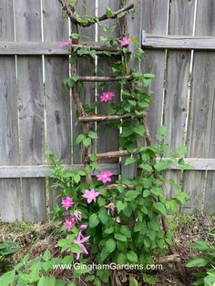 an old ladder is used as a planter for climbing vines and flowers in the garden