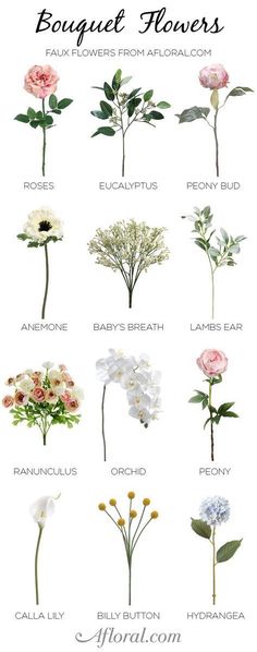 the different types of flowers are shown in this poster