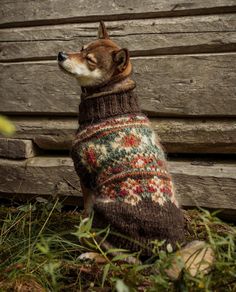 a dog wearing a sweater sitting on the ground in front of a wooden wall and grass