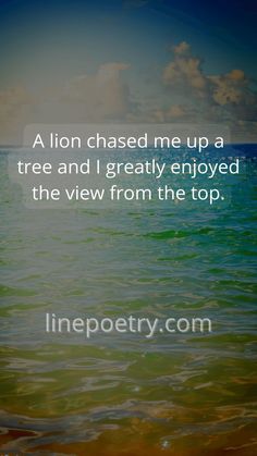 a quote on the ocean saying, a lion chased me up a tree and i greatly enjoyed the view from the top