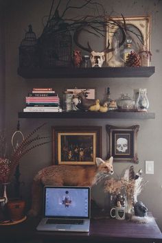 a laptop computer sitting on top of a desk next to a shelf filled with pictures