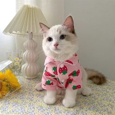 a white cat sitting on top of a bed next to a lamp and flower vase