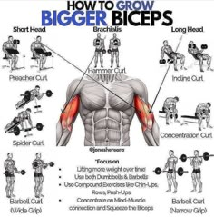 an image of how to grow bigger biceps