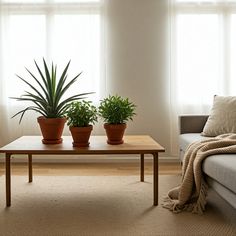 two potted plants sitting on top of a coffee table