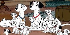 the 101 dalmatian puppies are all lined up