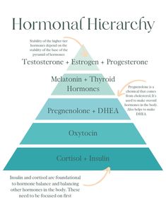 I wanted to share the hormone hierarchy. The base of the pyramid reflects what should be addressed first when balancing hormones. The top of the pyramid cannot be balanced without the bottom. Controlling stress, blood sugar, sleep, and your adrenal are paramount for all bodily functions to run smoothly. I hope this is a helpful place to start when it comes to supporting your hormone balance! I so still have slots available for my DUTCH hormone test that gives insights on what hormones are hig... Hormone Hierarchy, Hormones Balance, How To Balance Hormones, Quantum Healing, Balancing Hormones, Low Estrogen Symptoms, Bioidentical Hormones