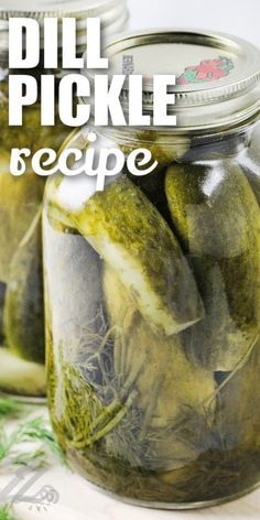 pickles in a jar with the title dill pickle recipe