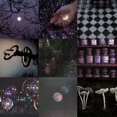 a collage of images with various things in them including mushrooms, trees and jars